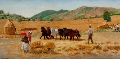 Harvest in Anticoli